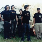 Finch - List pictures