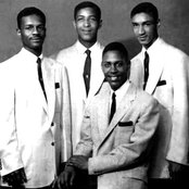 Wrens - List pictures