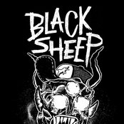 Black Sheep - List pictures