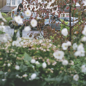 Gold Panda - List pictures