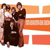 Marmalade - List pictures