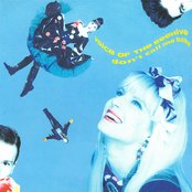 Voice Of The Beehive - List pictures