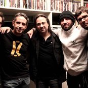 Viper - List pictures