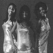 Flirtations - List pictures