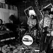 The Donkeys - List pictures