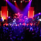 Crossbreed - List pictures