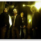 Damnwells - List pictures