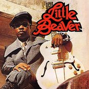 Little Beaver - List pictures