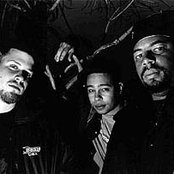 Company Flow - List pictures