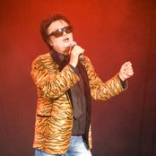 Fancy - List pictures