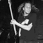 Radish - List pictures