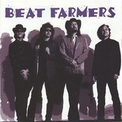 Beat Farmers - List pictures