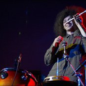 Polar Bear - List pictures