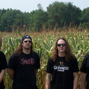 Dying Fetus - List pictures