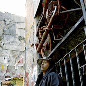 Samy Deluxe - List pictures