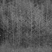 Mutual Benefit - List pictures