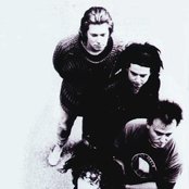 The Cranes - List pictures