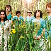 Babasonicos - List pictures