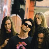 Carcass - List pictures