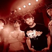 Future Of Forestry - List pictures