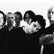 Econoline Crush - List pictures