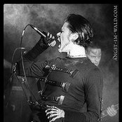 The Other - List pictures