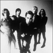 Sponge - List pictures