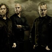 Falconer - List pictures