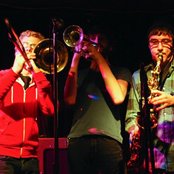 Great Dane - List pictures