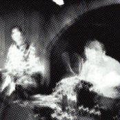 The Traps - List pictures