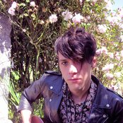 Plastic Flowers - List pictures