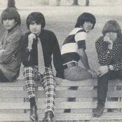 The Standells - List pictures