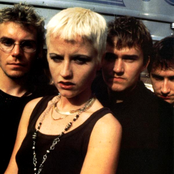 Cranberries - List pictures