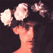 Virus - List pictures