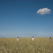 As Tall As Lions - List pictures