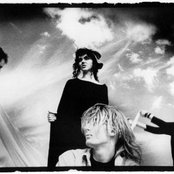 The Cranes - List pictures