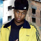 Young Swift - List pictures