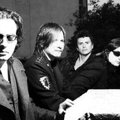 Jaguares - List pictures