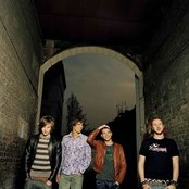 Rooster - List pictures