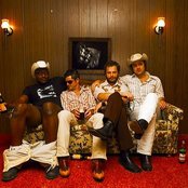 Dove Hunter - List pictures