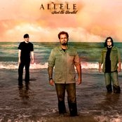 Allele - List pictures