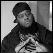 Freeway - List pictures