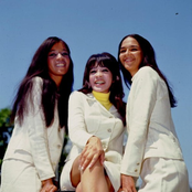 The Ronettes - List pictures