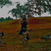 Magnetic Poetry - List pictures