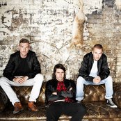 Miike Snow - List pictures