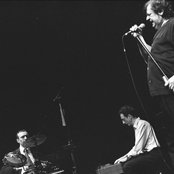 Stiller Has - List pictures