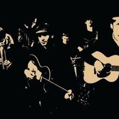 The Coral - List pictures