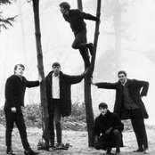 The Sonics - List pictures