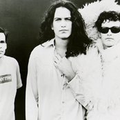 Meat Puppets - List pictures