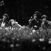 Dead Ghosts - List pictures